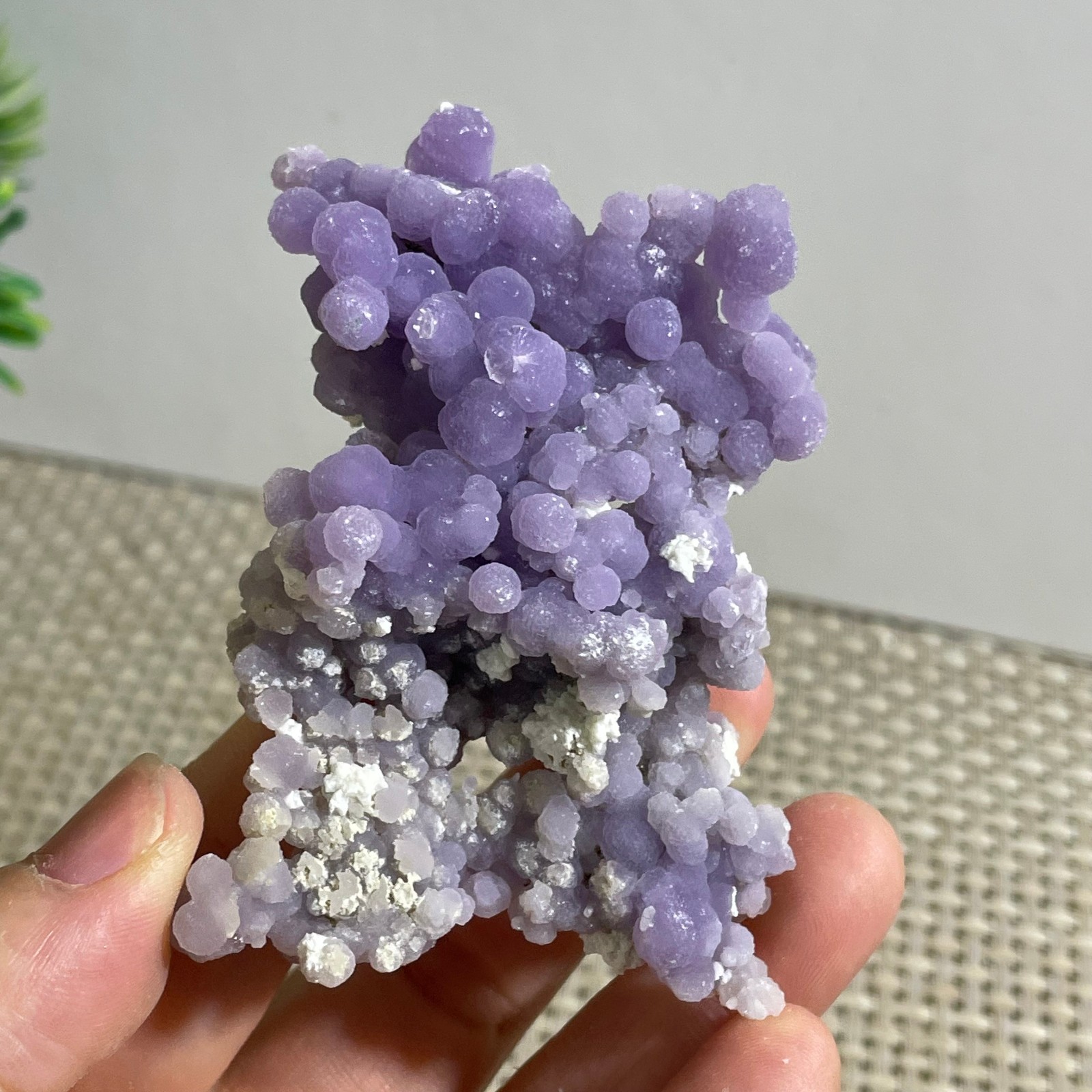 50g Purple stone, grape agate, quartz crystal, granular mineral