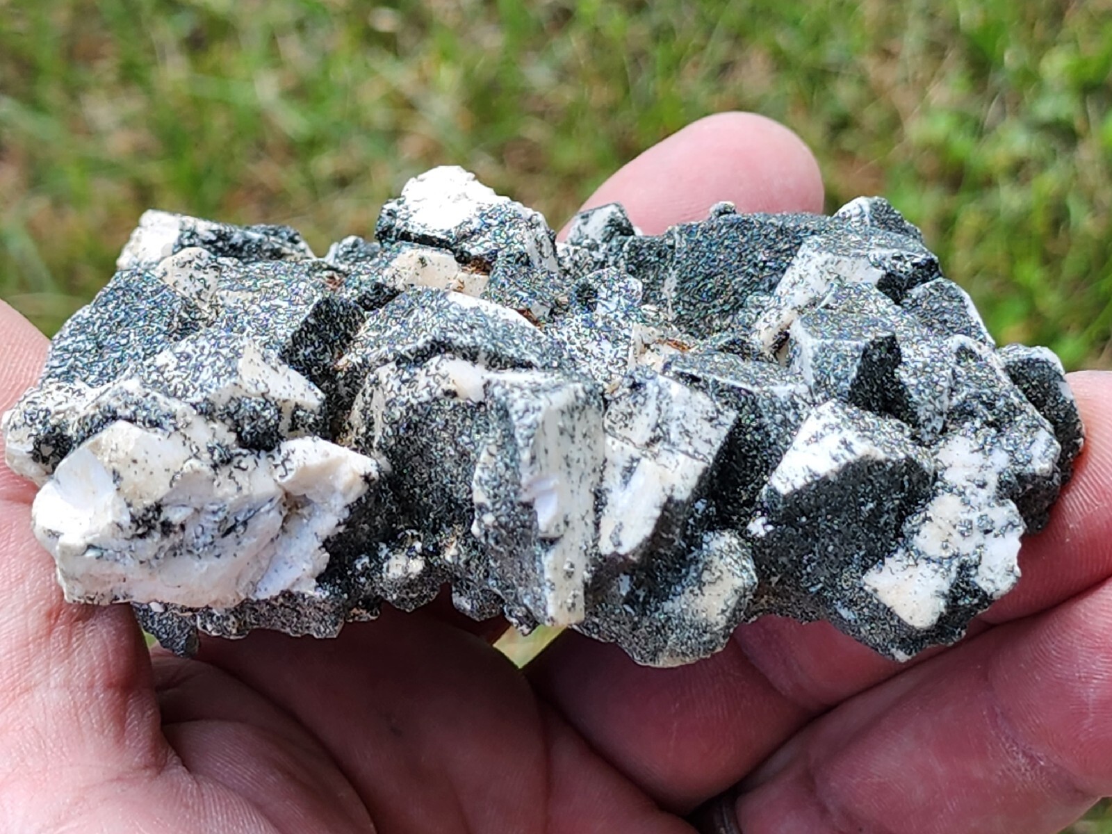 VERY RARE,WHITE PERICLINE CRYSTALS WITH CHLORITE,NICE LUSTER,ITALY