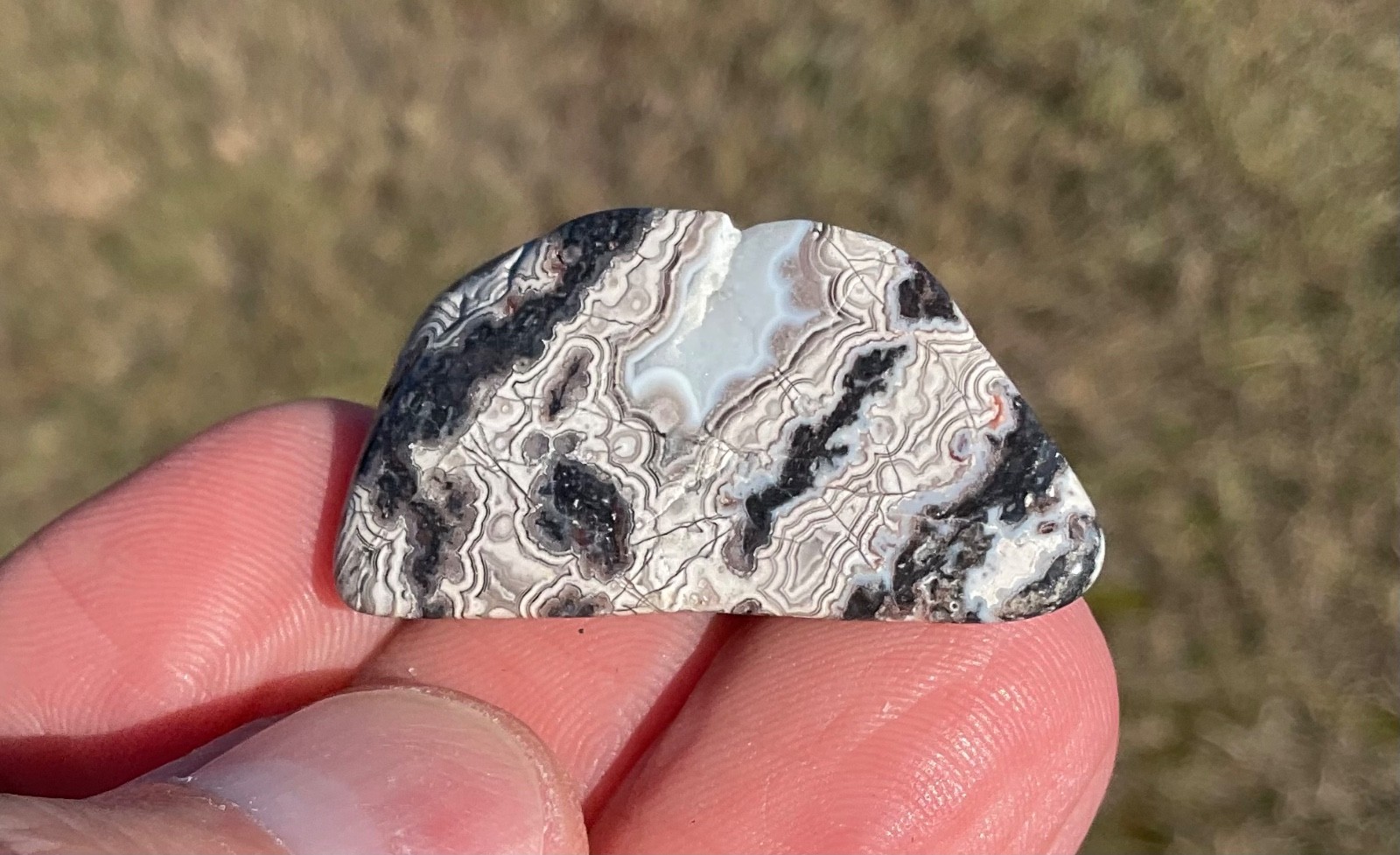 Polished Crazy Lace Agate Cabochon Preform Lapidary Gemstone High Grade