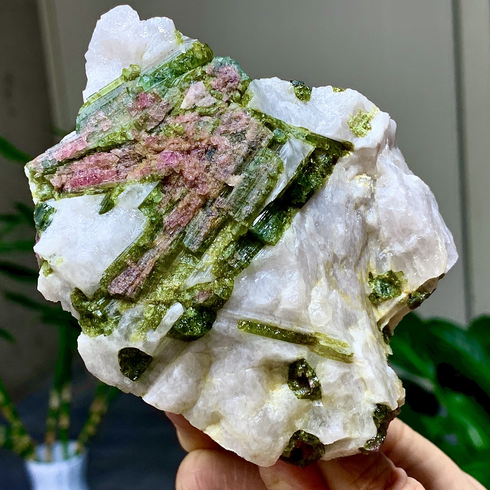 414G Natural Two tone watermelon tourmaline crystal cluster mineral specimen