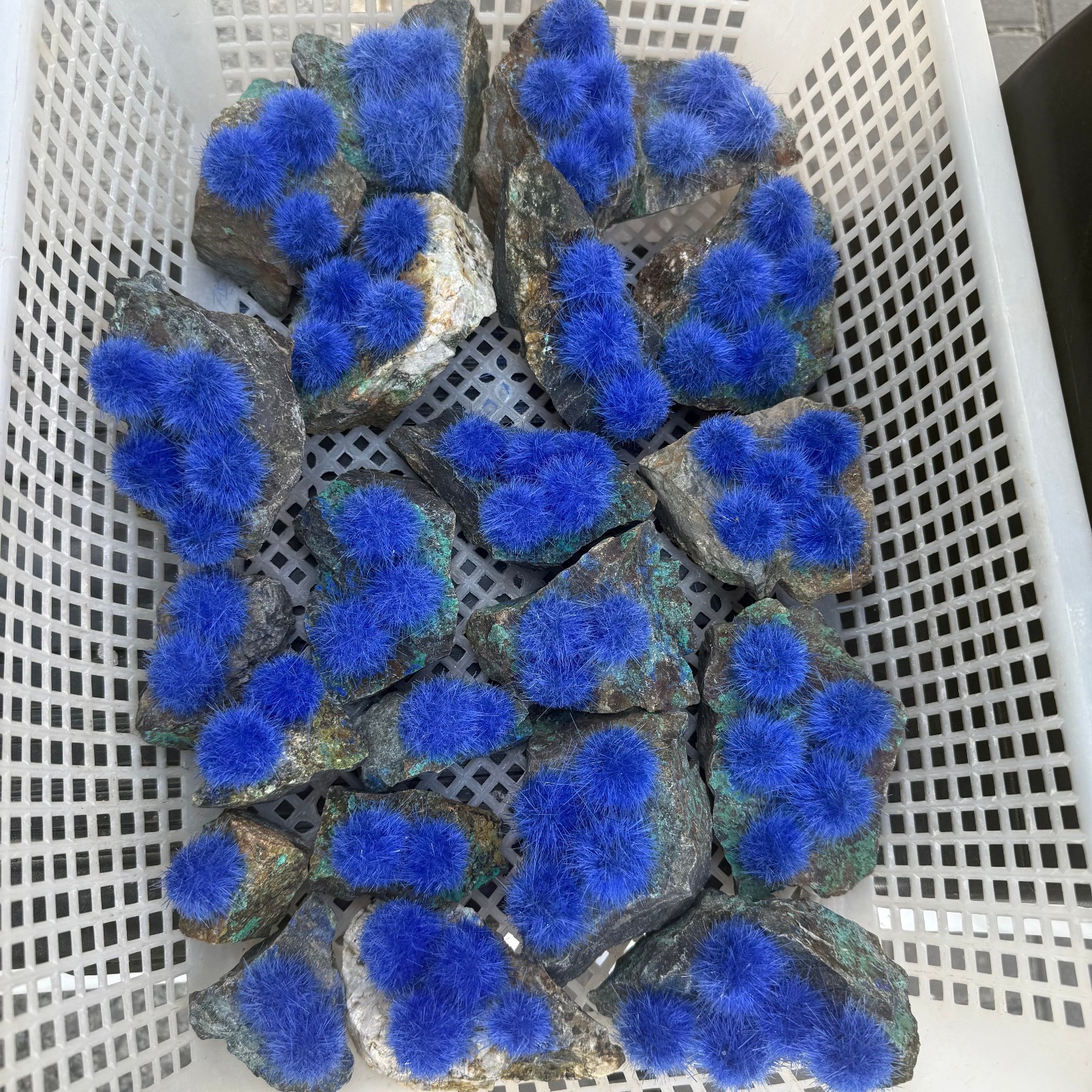 Raw Rough Dandelion Zeolite Cluster Blue Cave Quartz Crystal Specimen Decoration