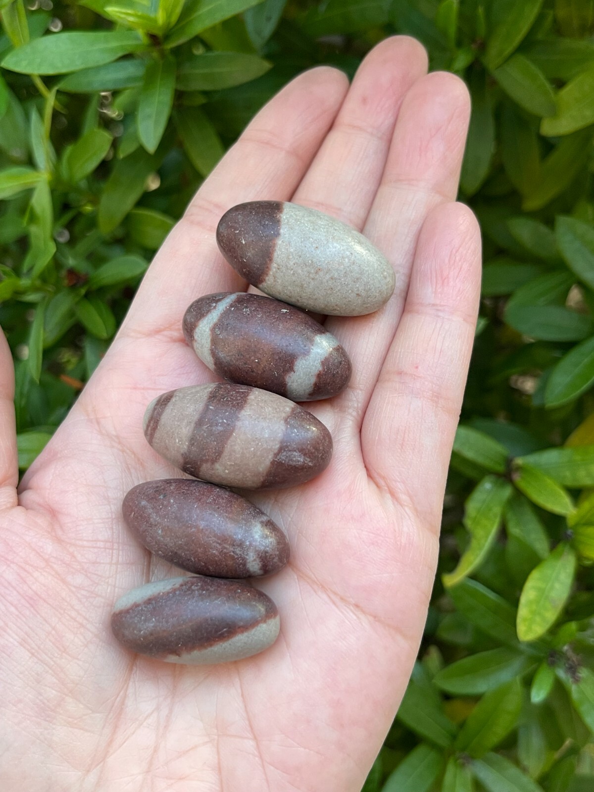 1″ Shiva Lingam Stone, Small Shiva Lingam Sacred Stones, Wholesale Bulk Lot