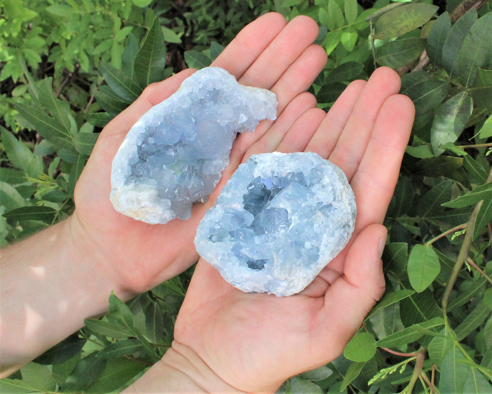 Celestite Crystal Cluster – High Quality Celestite Geodes (Blue Celestite Druze)