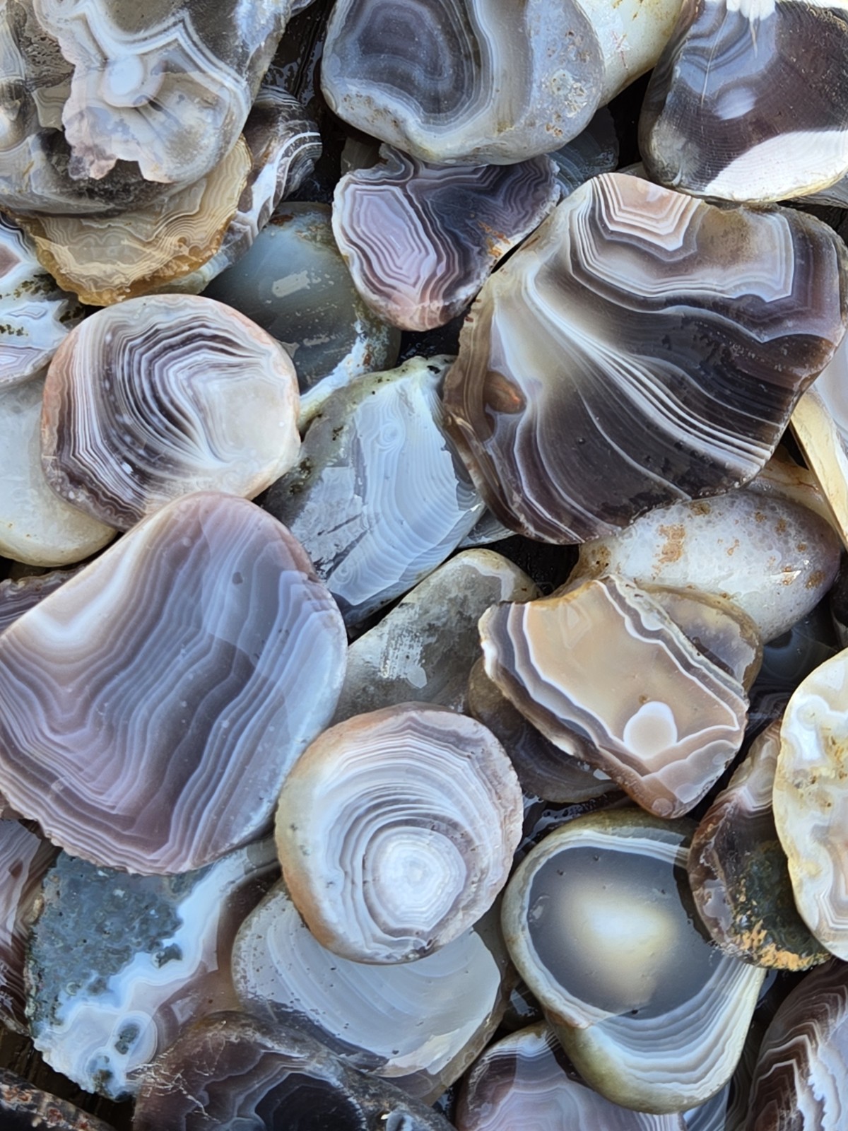 Botswana Agate rough 1-2″ A+ pound lbs tumbling lapidary banding wholesale bulk