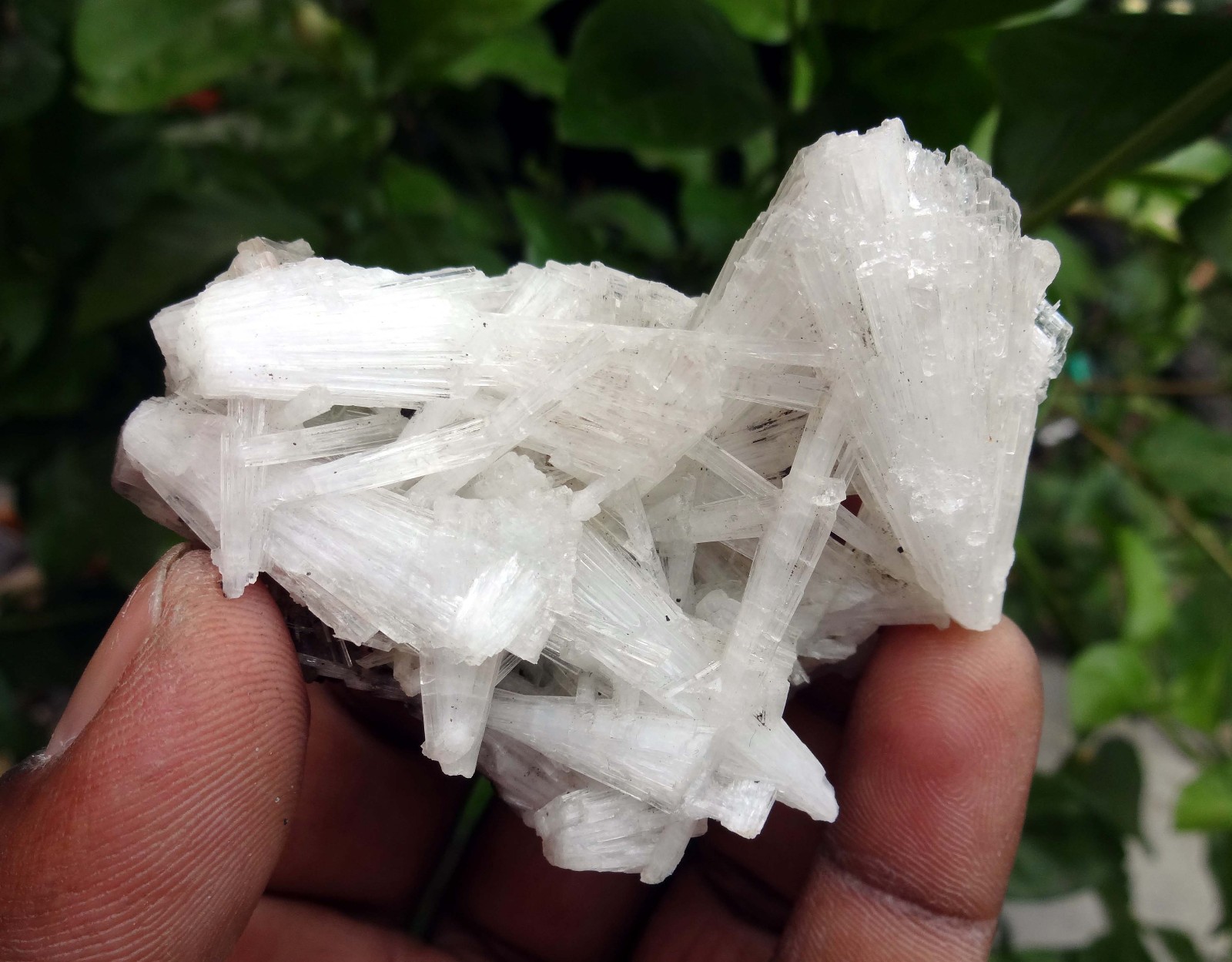 scolecite spray formation minerals specimen j-6