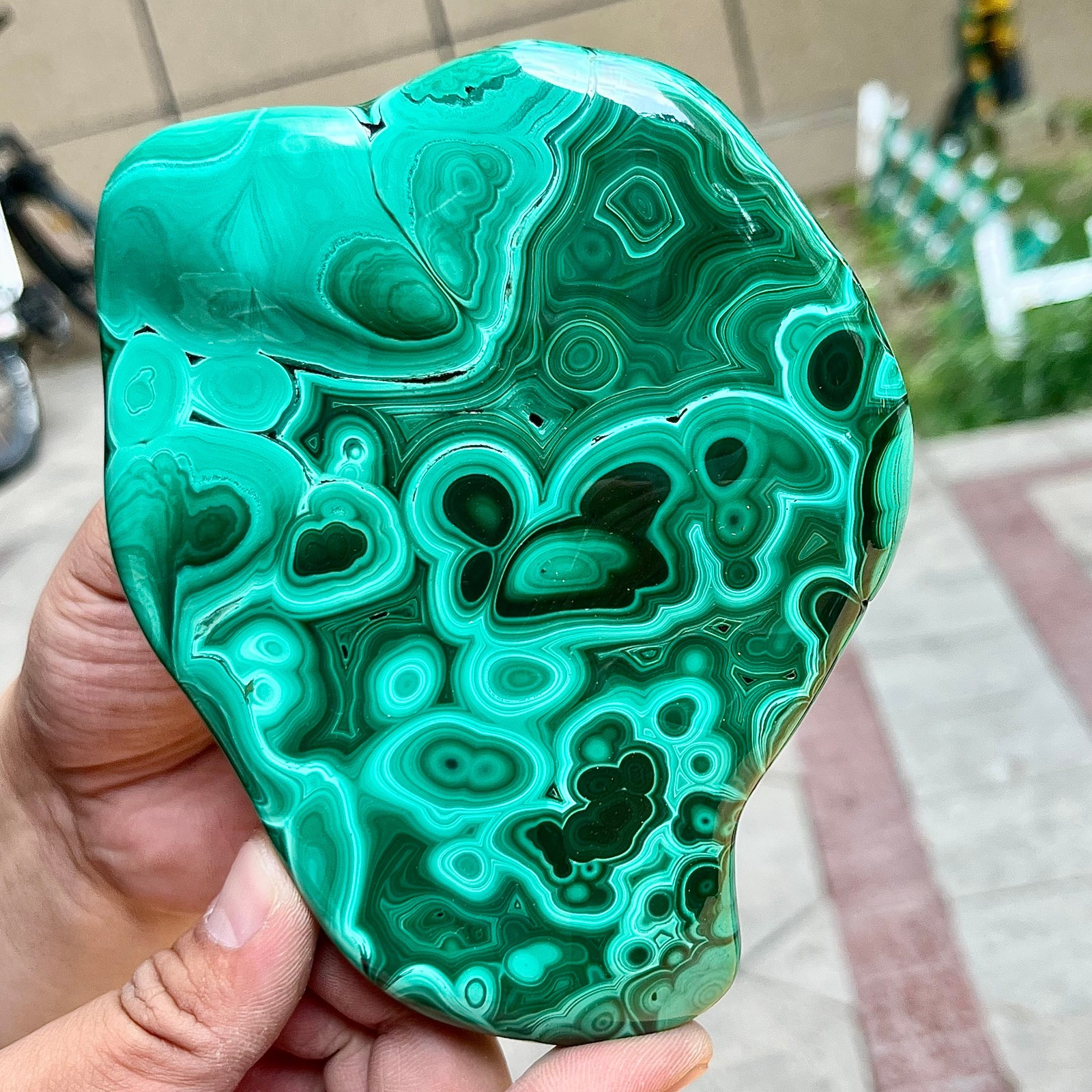 2.2 lb Malachite Quartz Freeform One Side Polished Natural Crystal Specimen