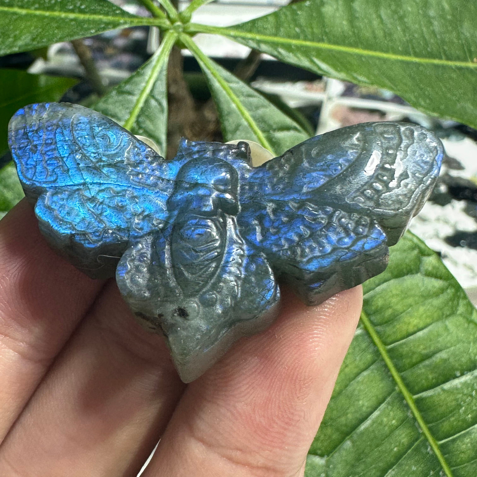 Natural Labradorite Ghost face Moth Specimen Quartz Skull Crystal Reiki Healing