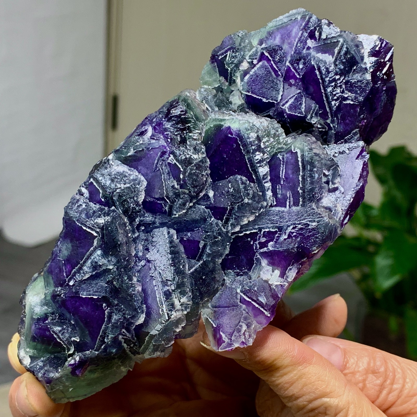 643G Rare transparent purple octahedron fluorite mineral crystal sample/China