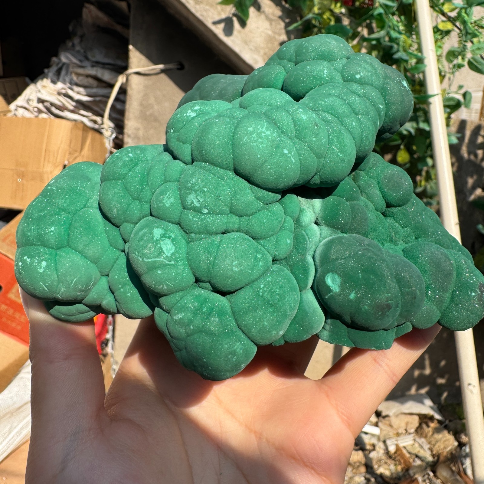 1180G Natural Malachite crystal quartz Mineral Specimen Reiki congo