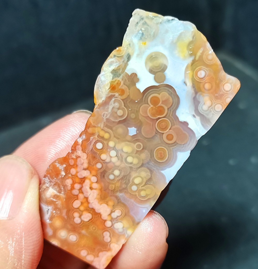 Rare 39.2G Natural Orbicular Ocean Jasper 8th Vein Rough Healing A133