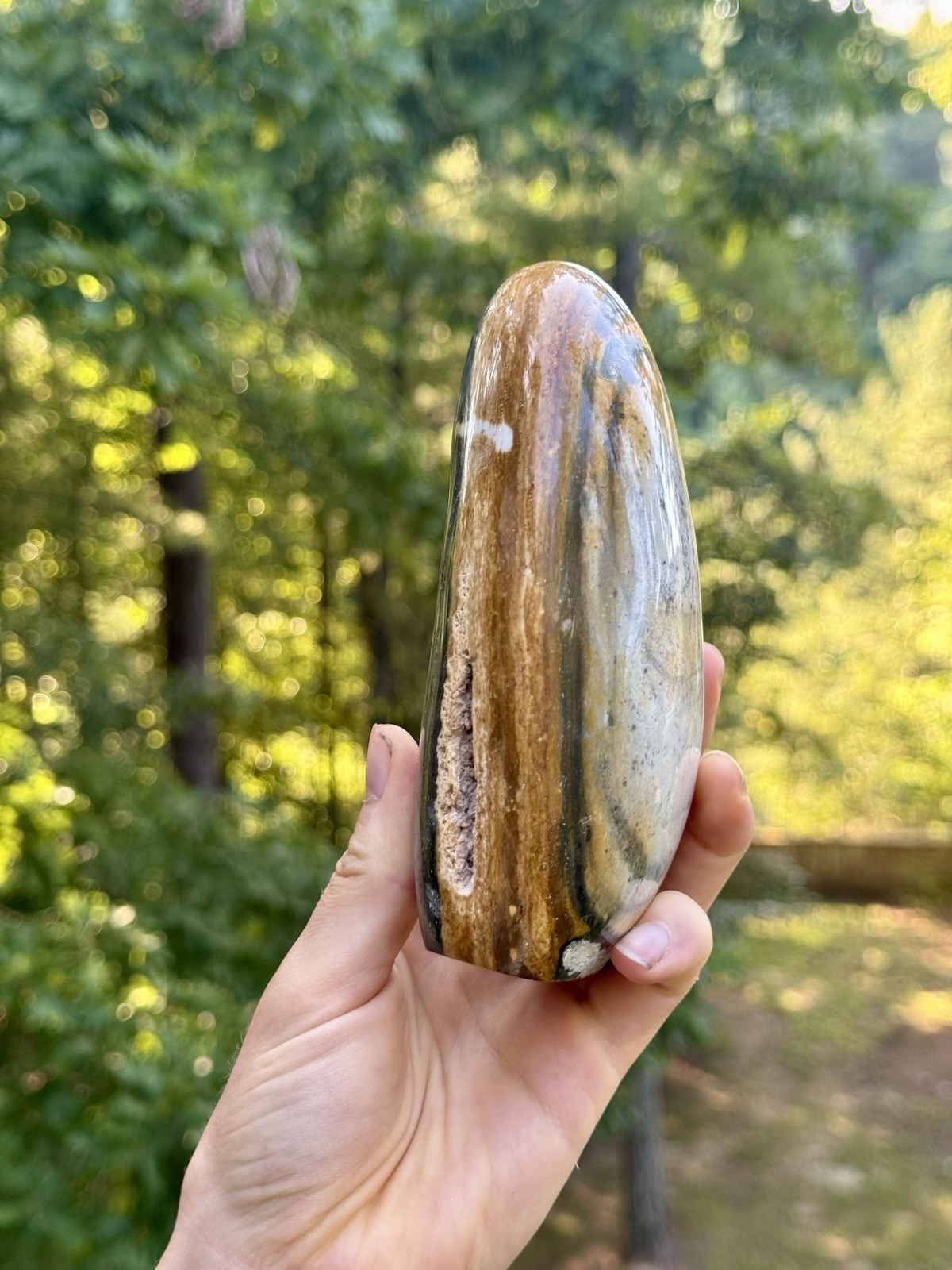 Large Polychrome Jasper Freeform 740g Polished Desert Jasper Display Stone