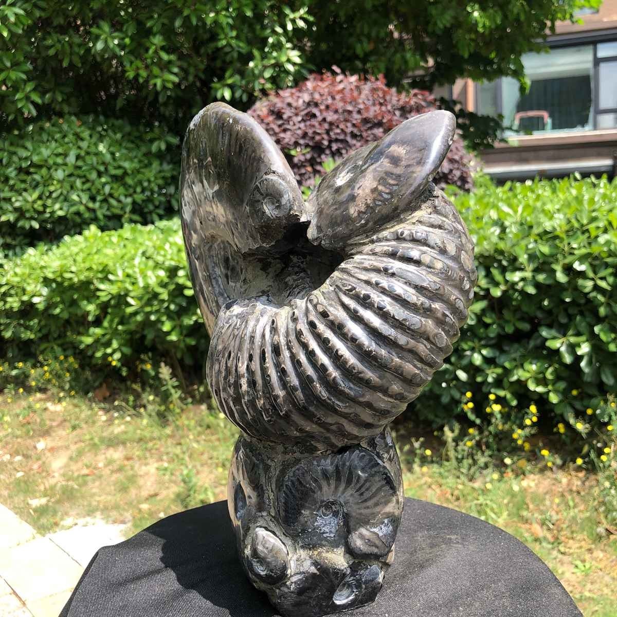 15.24LB Natural Beautiful Ammonite Fossil Conch Crystal Specimen Healing 5122