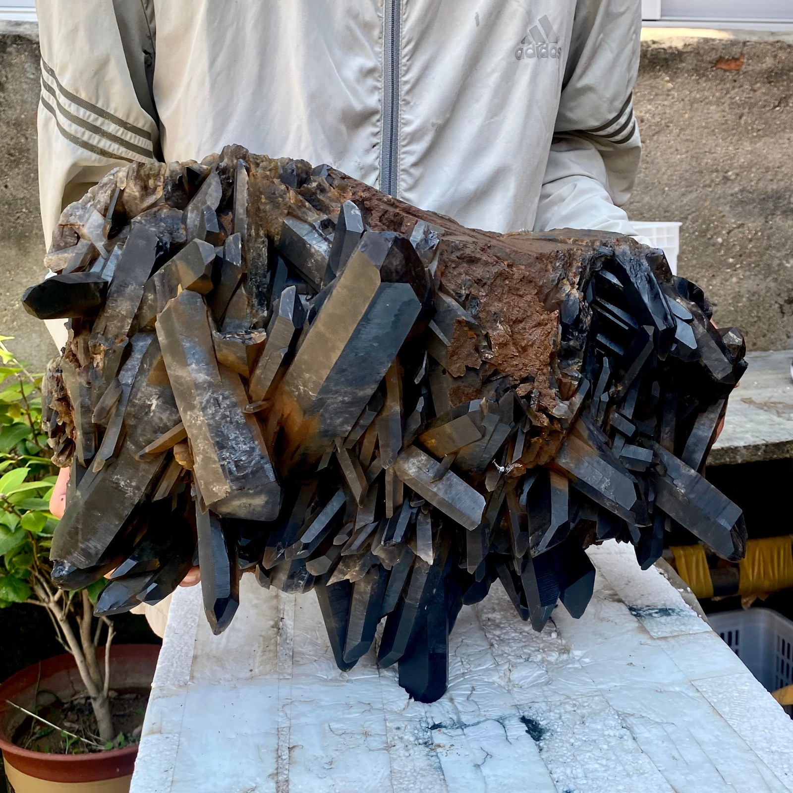 57LB Tea black Crystal quartz Cluster Mineral Specimen Healing reiki