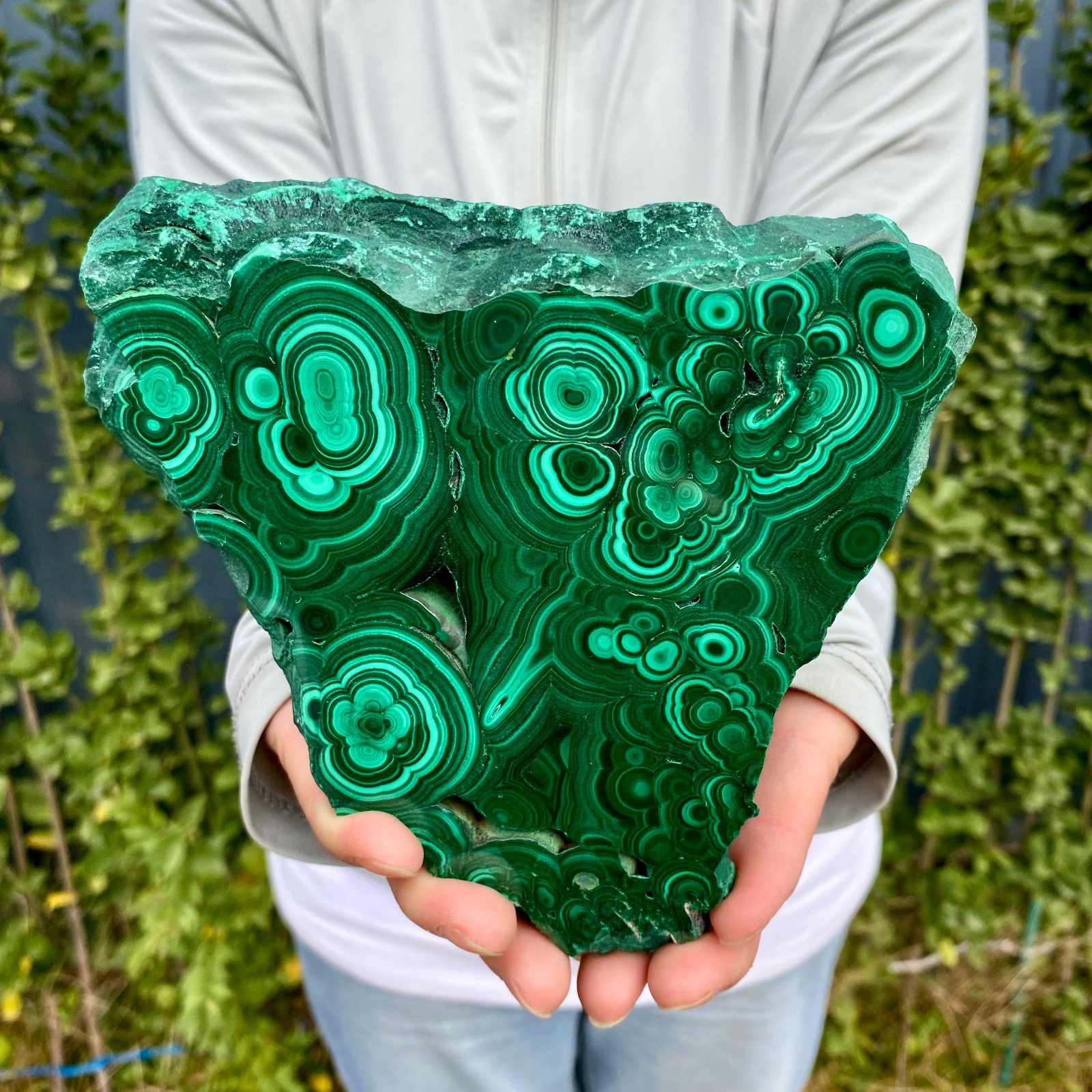 1.41LB Natural malachite slice quartz crystal luster mineral specimen