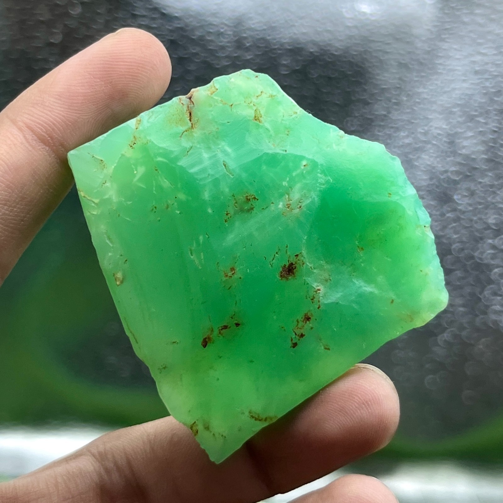Rare Green Chrysoprase Rough Stone 246Ct Natural Gem Specimen Slice