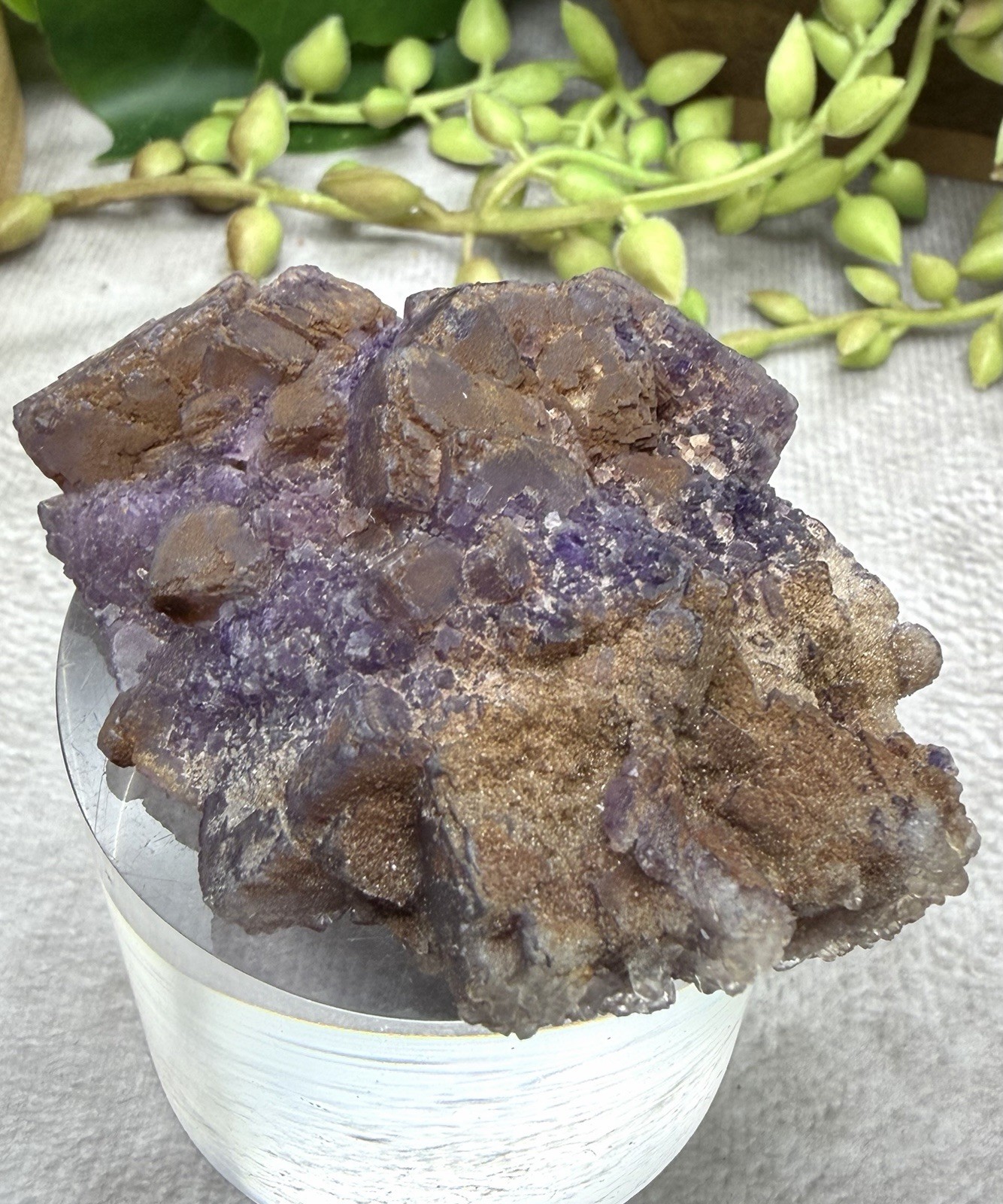 Crystal 58g Natural Coated Purple Window Cube Fluorite Specimen Mineral