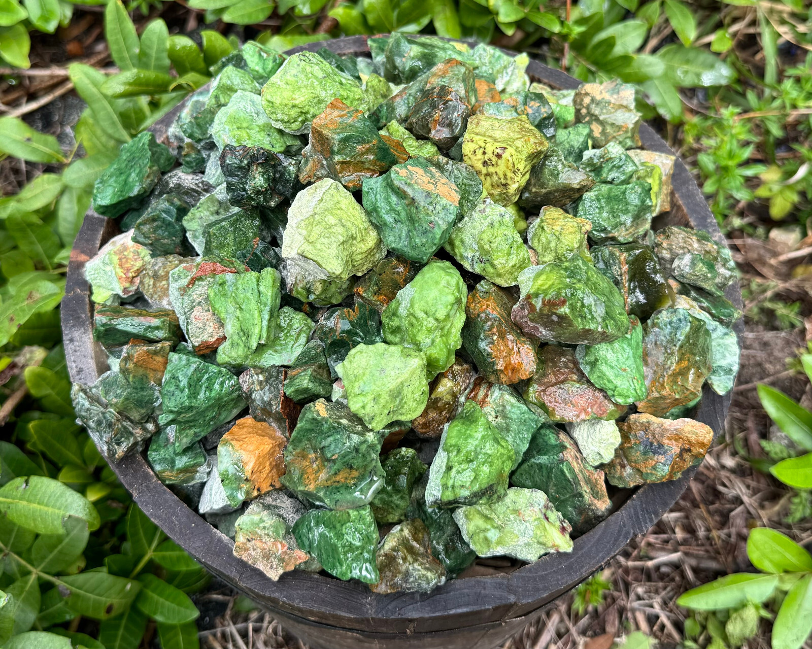 2 lb Bulk Wholesale Lot of Natural Rough Chrysoprase Crystals (Raw Rock Mineral)