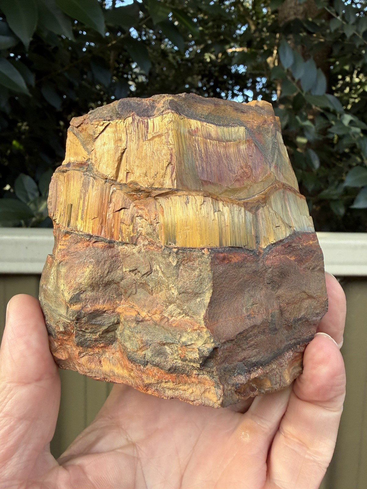 Aussie Tiger Eye – Mara Mamba W.A Polished back End Cut Slice 784g Nice