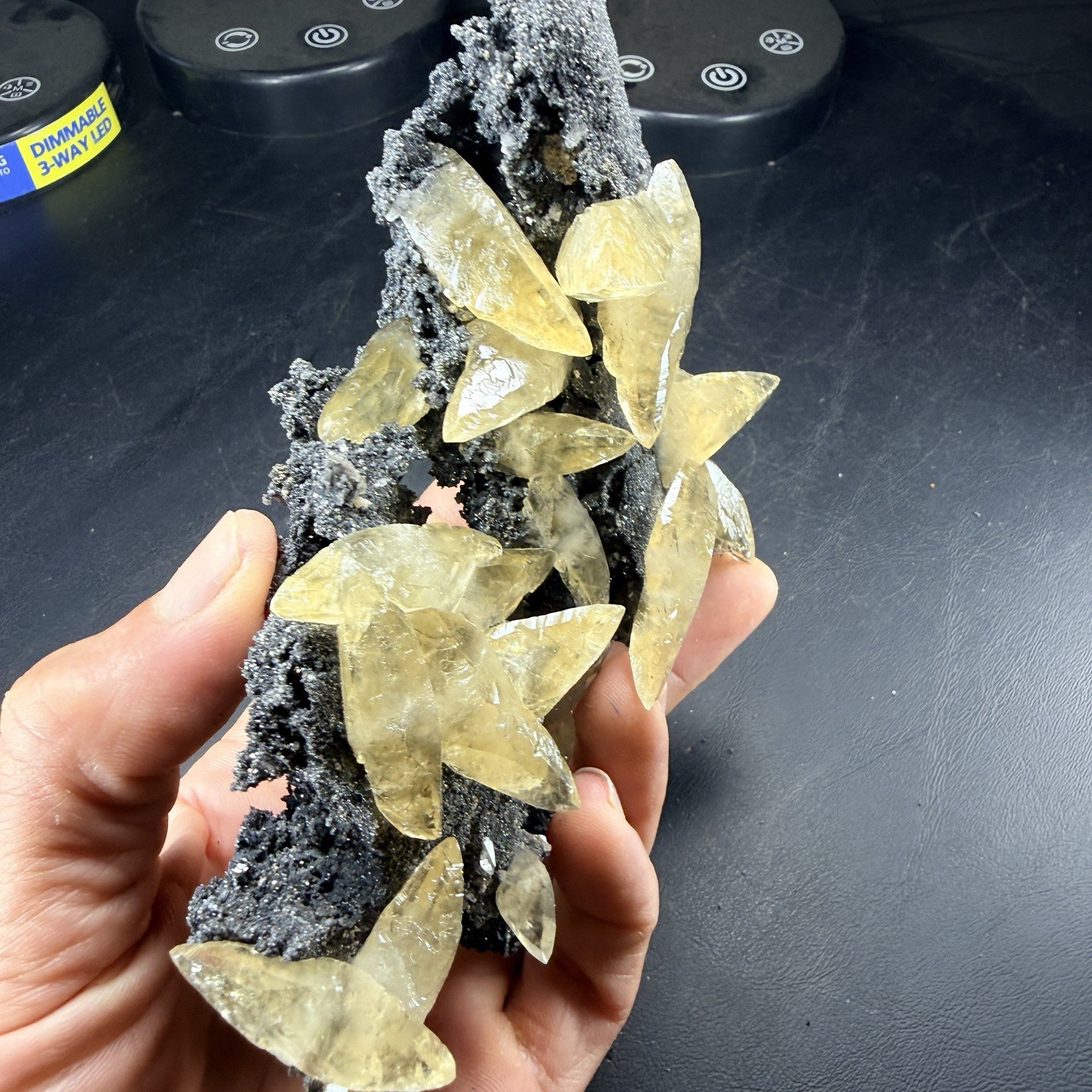 A+ Golden Calcite Dogtooth Crystals on Black Dolomite / Sweetwater Mine *Video*