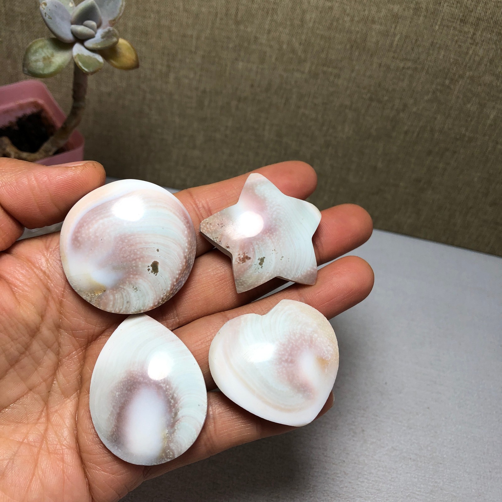 4pcs Rare sun shell Reiki Shiva Eye ocean semi-precious stone 74g A2754