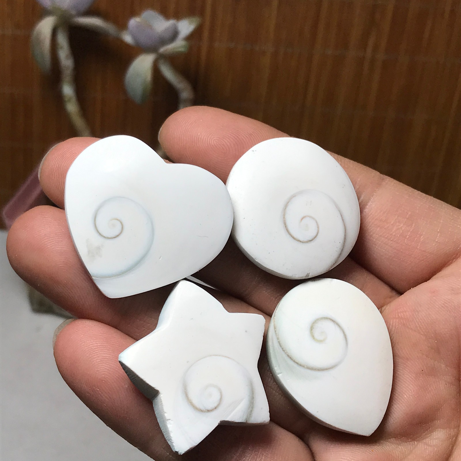 4Pcs Natural sun shell star Heart Reiki Shiva Eye ocean quartz carve A3340