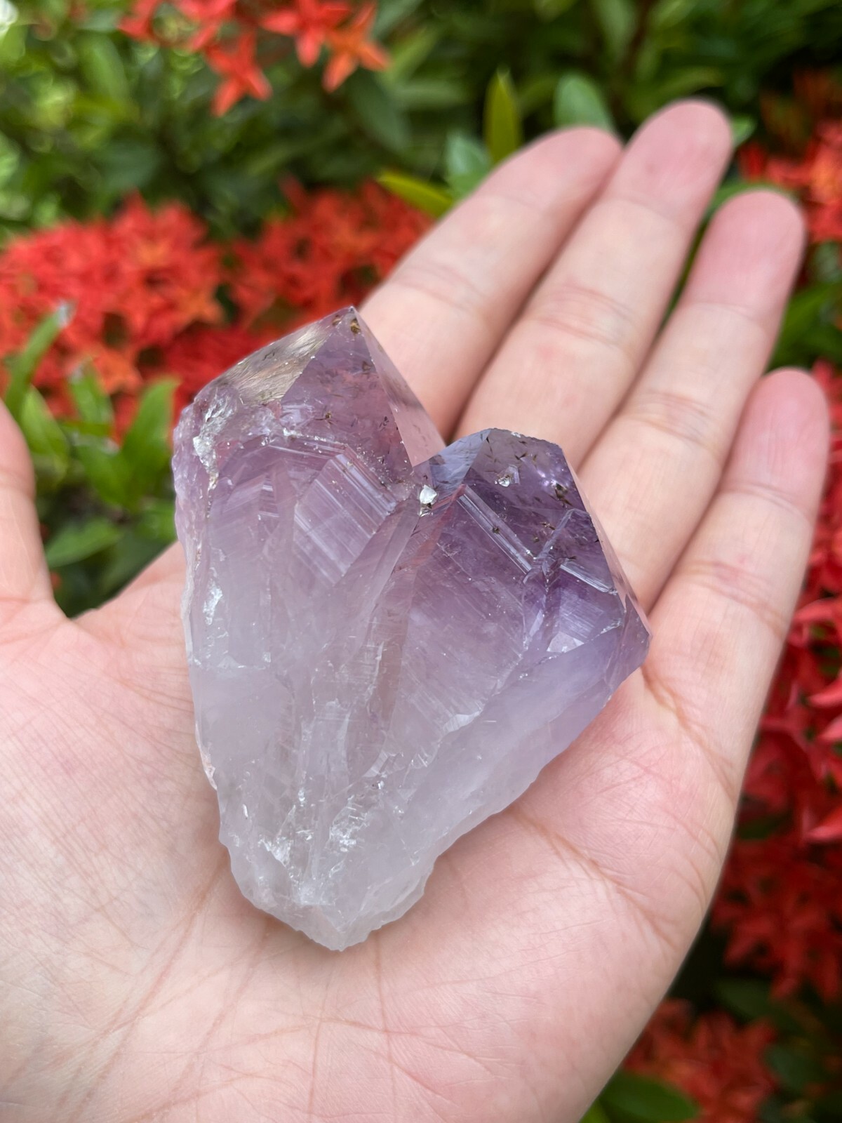 Extra Large Amethyst Rough Points, 2.5 – 3.25″ Raw Amethyst Points, Bulk Lot