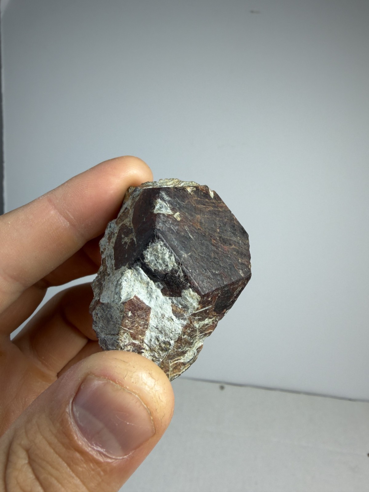 Large Red Garnet Crystal | North Carolina | Little Pine | Mineral | Specimen