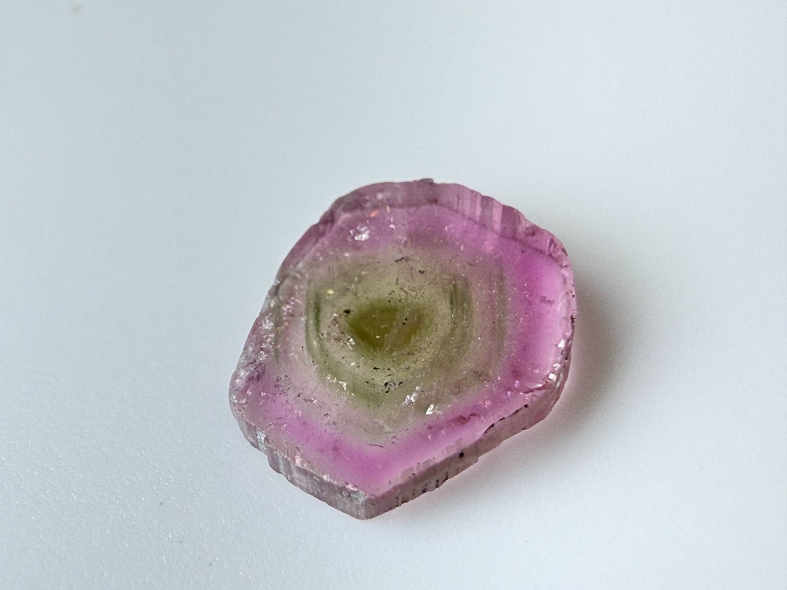 Watermelon Tourmaline Slice Specimen .835 ct 7.35mm Max Length Natural Shape
