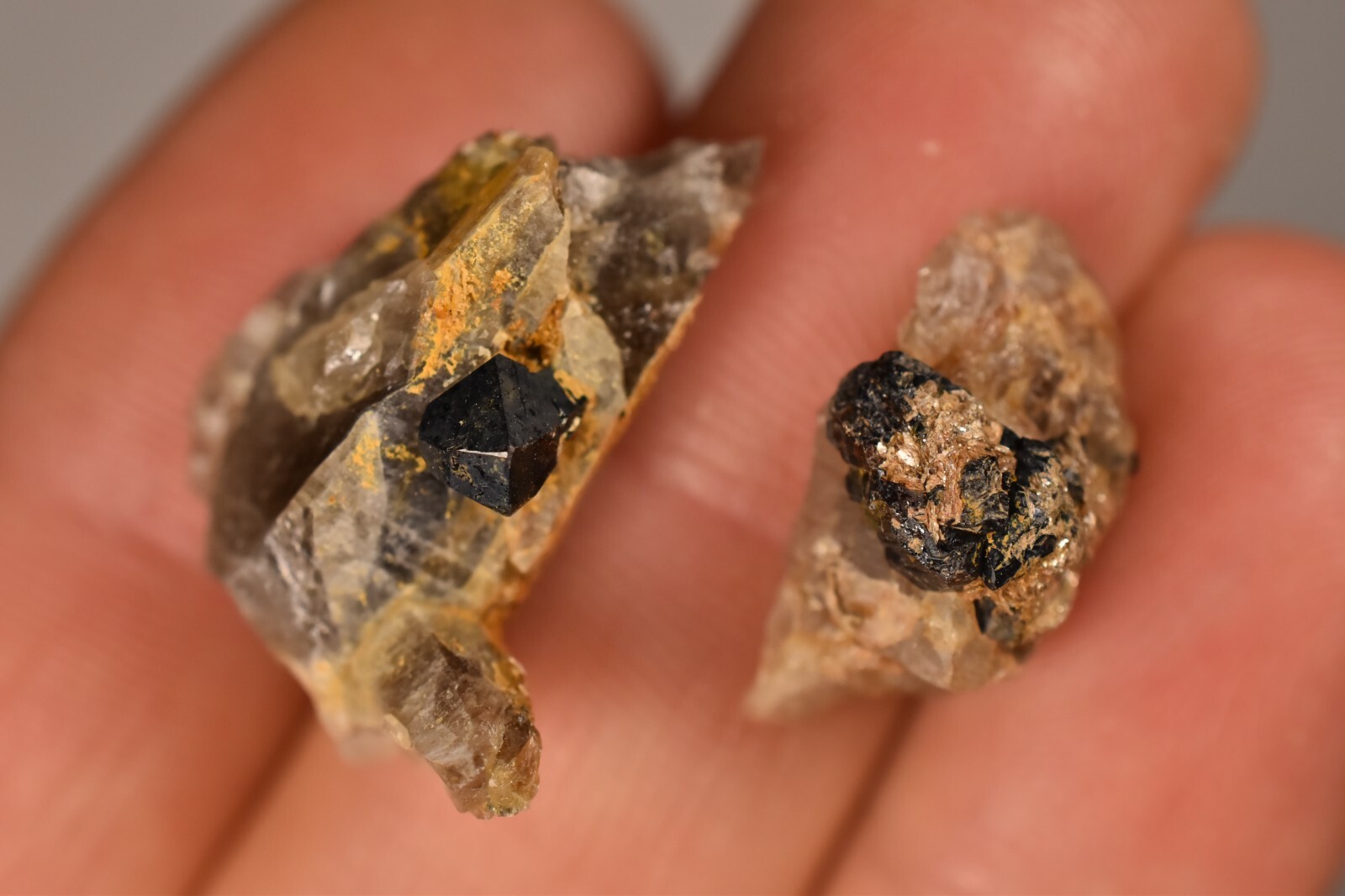 2 *AUSTRALIAN* CASSITERITE In QUARTZ 2-3cm6.5g Natural Tin Mineral Crystal Faces
