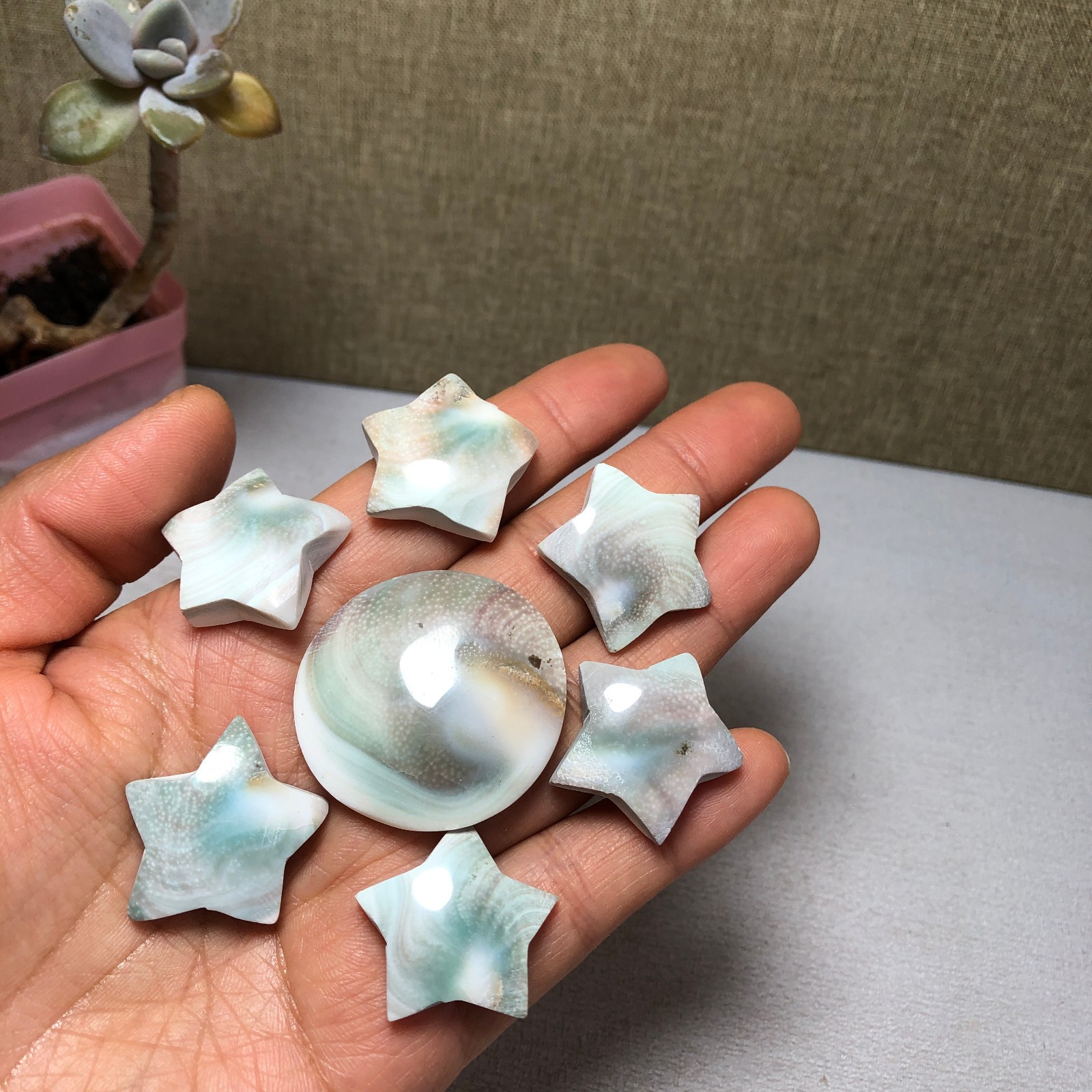 7pcs Rare sun shell Reiki Shiva Eye ocean semi-precious stone 57g A2762