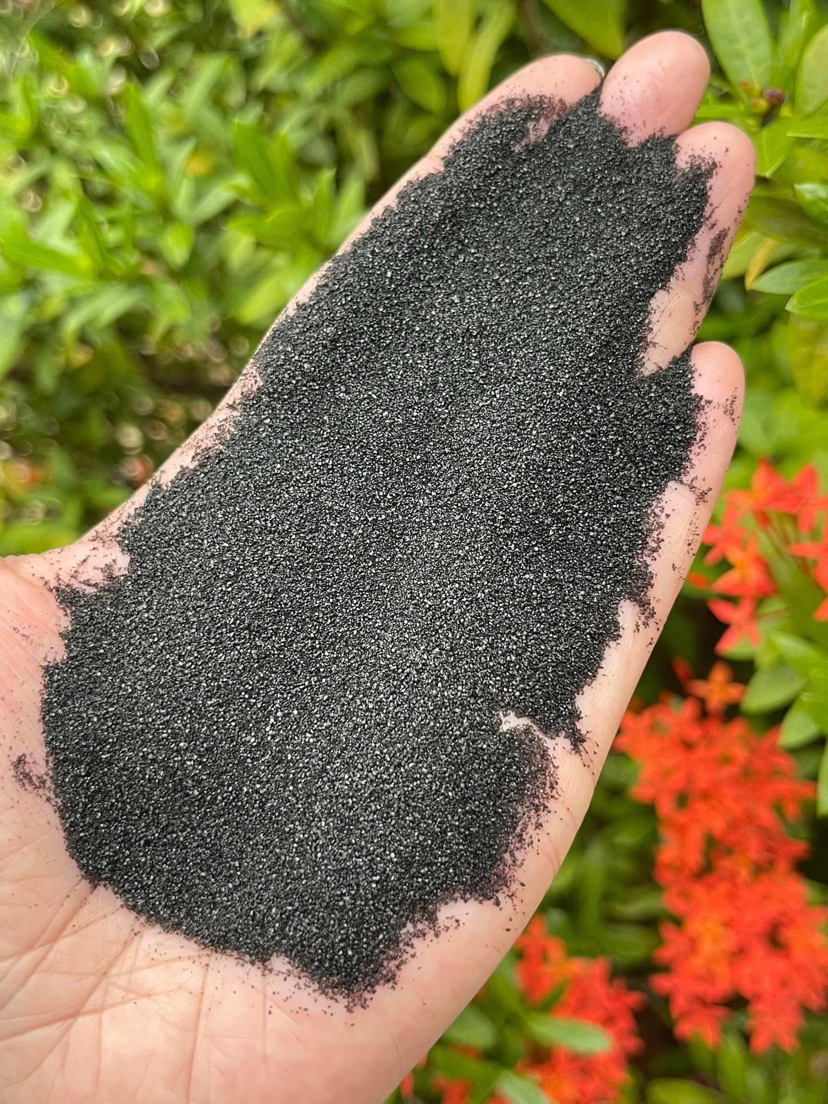 Black Sand For Incense Sticks, Sage, Resin In Burner, Cauldron, Charcoal, Shell