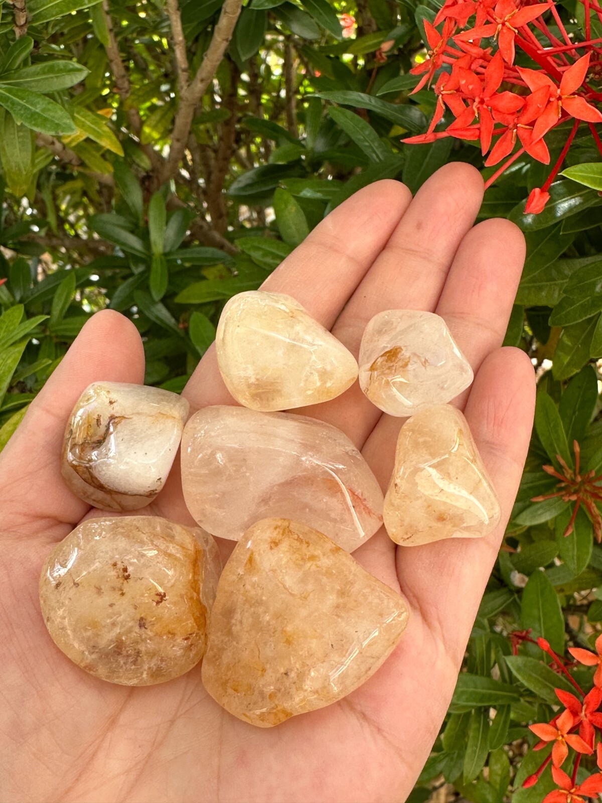 Grade A++Golden Healer Quartz Tumbled Stones 0.75-1.25″, Pick How Many