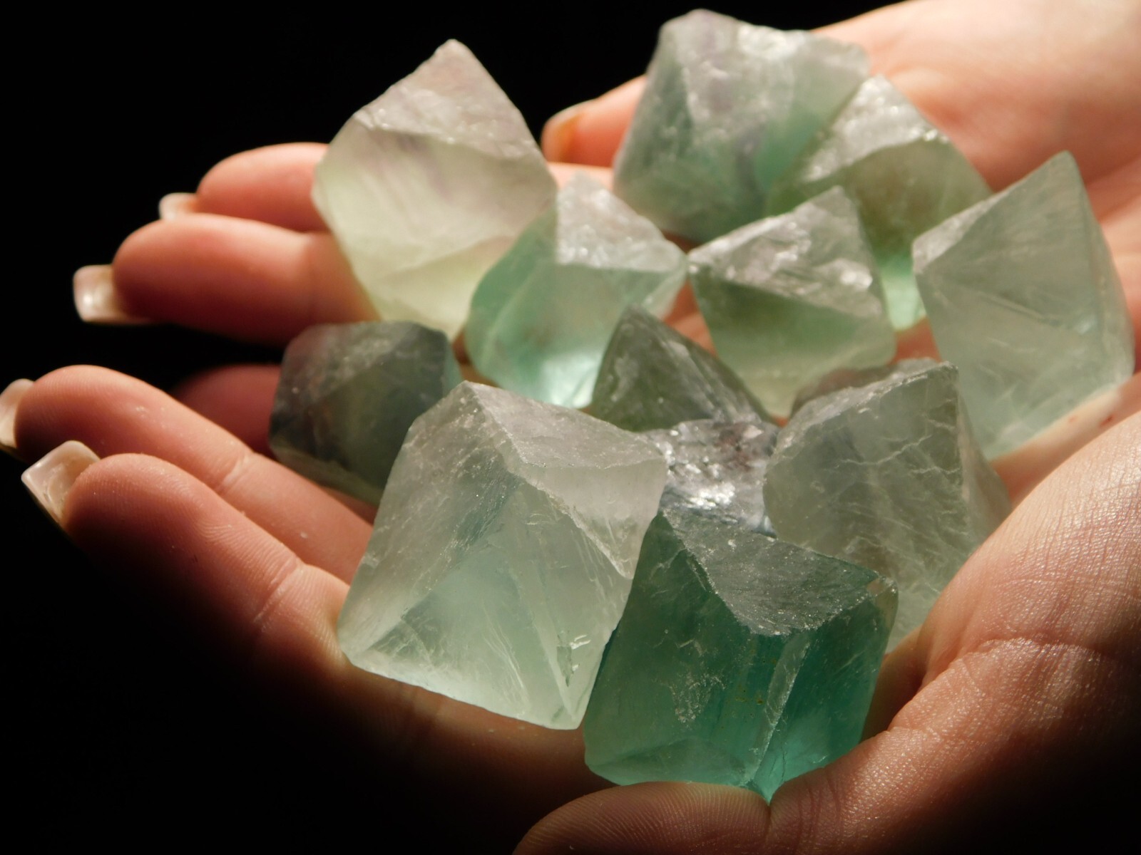 Over One Pound! or 500 Grams! Fluorescent FLUORITE Octahedron Crystals