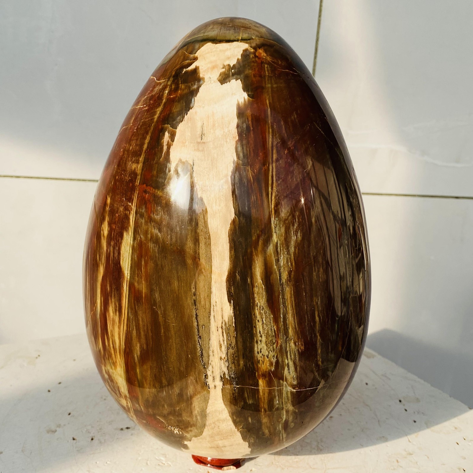 Natural Petrified Wood Egg Quartz Crystal Fossil Mineral 6340g