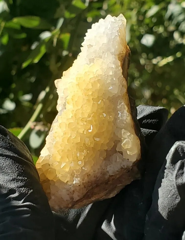 Natural Golden Healer Cluster Specimen 70g