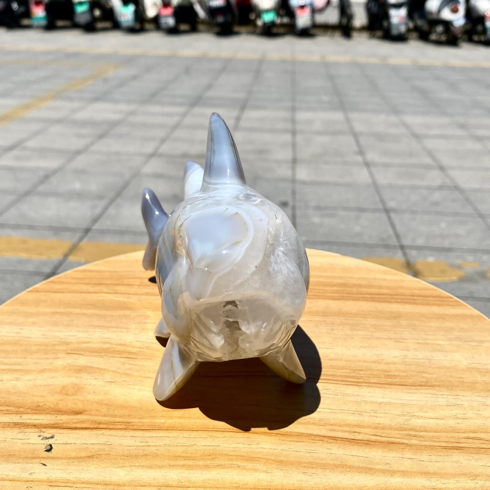 1.65LB Natural Agate Hand Carved Shark Figurine, Ocean Power Crystal Statue