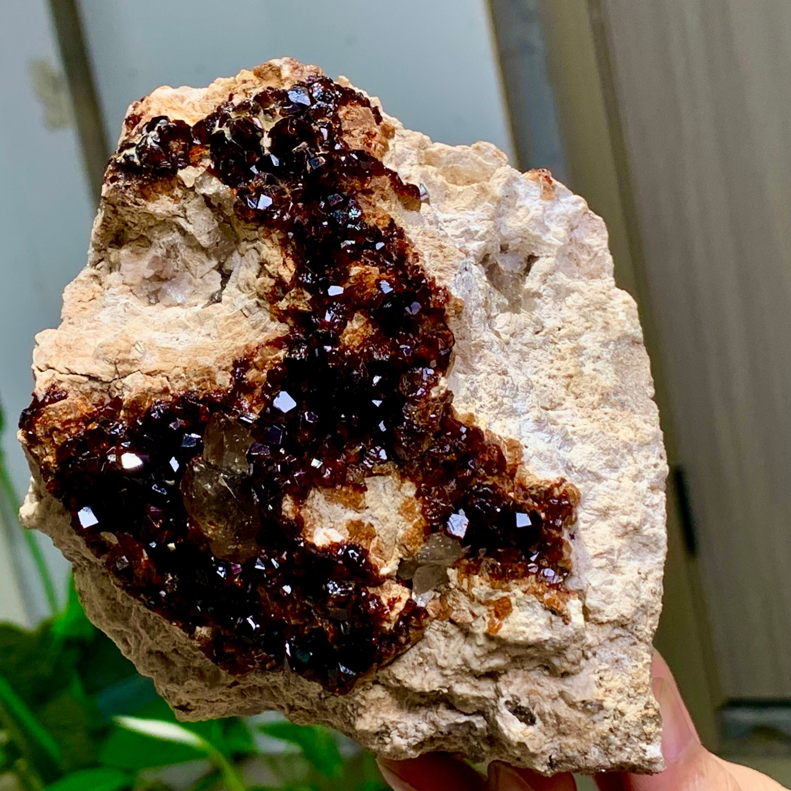 1.92LB Natural Garnet with smokey quartz cluster Crystal Mineral Specimen