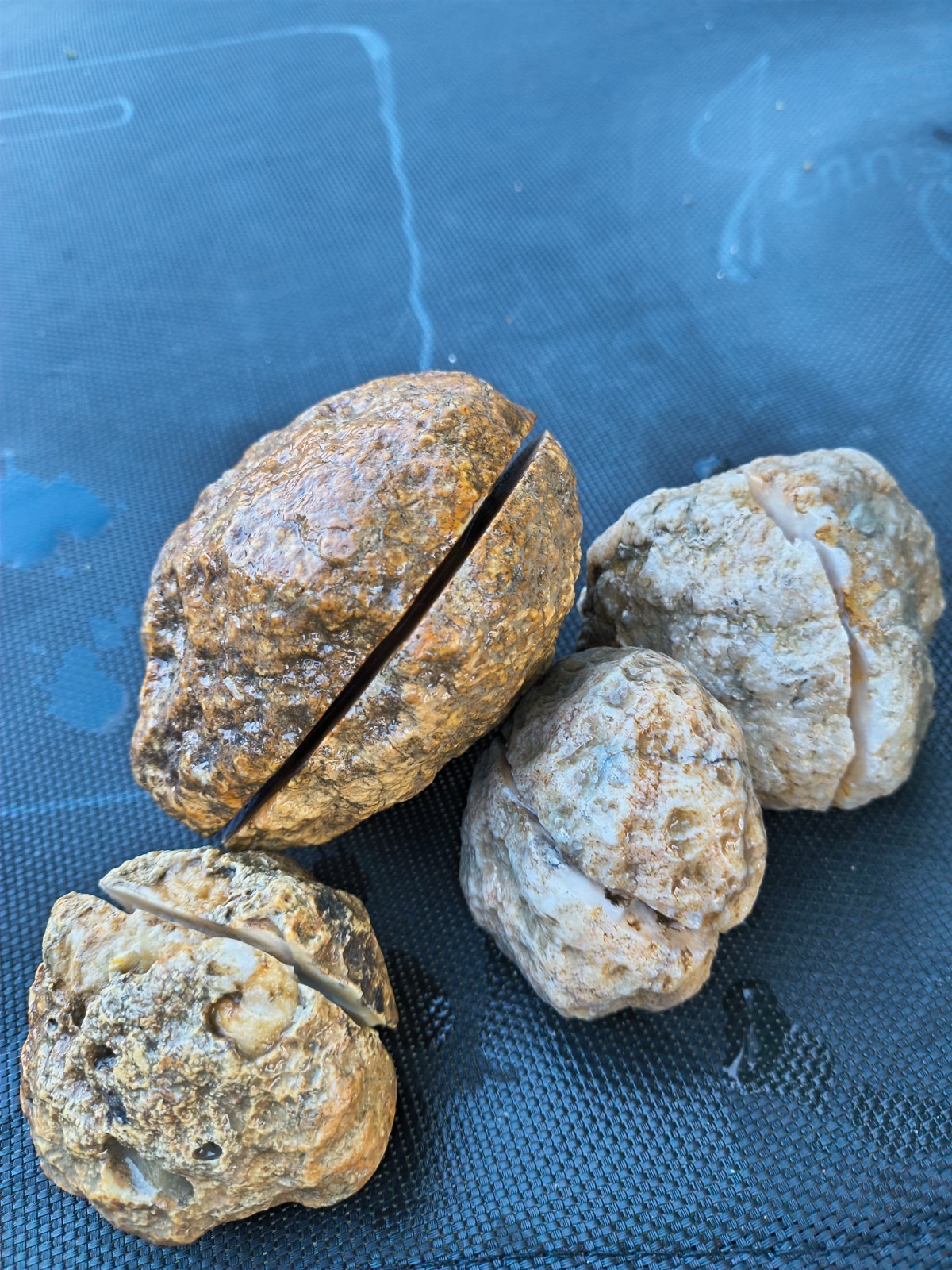 3 LB Kentucky KY Geodes Pre-Scored Crack Your Own Set 4 Piece Lot Hand Collected