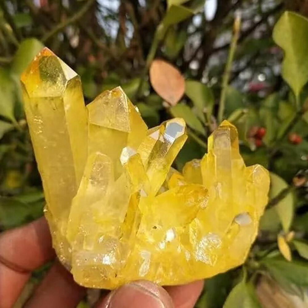 Natural Aura Yellow Citrine Crystal Titanium Cluster Healing Mineral Specimen US