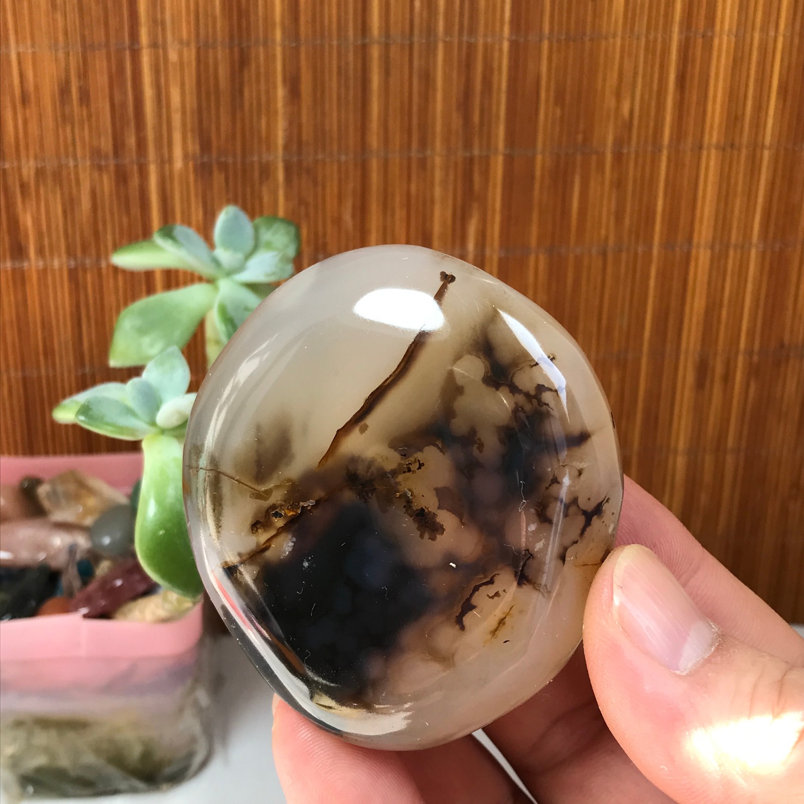 65-59-27mm Natural aquatic plants agate pretty Crystal specimens 147g A1880