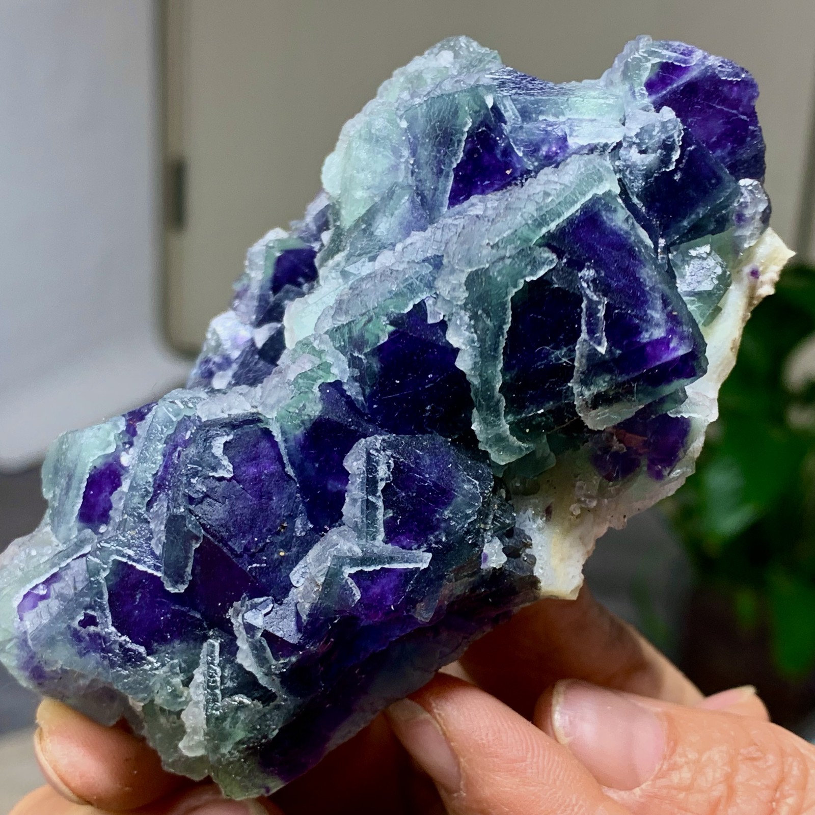 294G Rare transparent purple octahedron fluorite mineral crystal sample/China