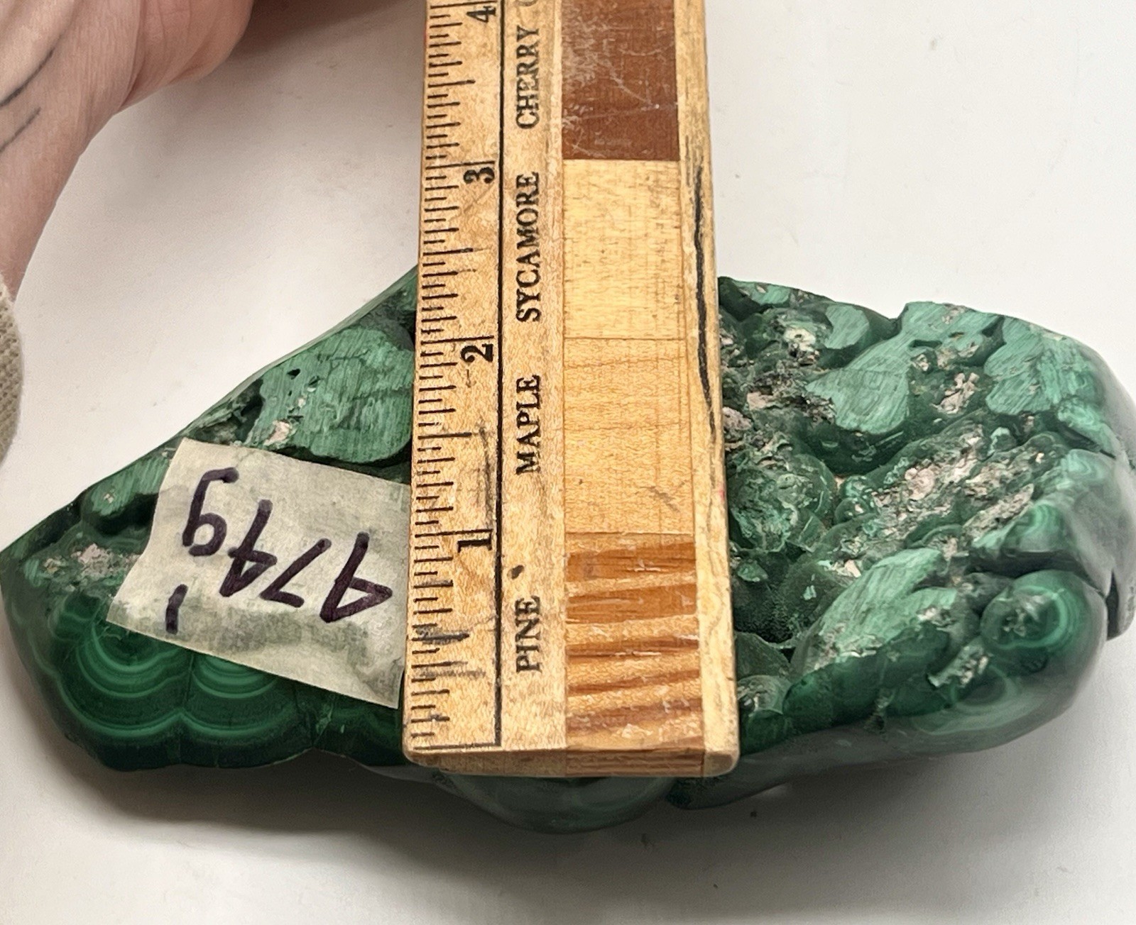Polished Malachite Stone Congo 474g (1.04 lb) Green Display Lapidary Specimen