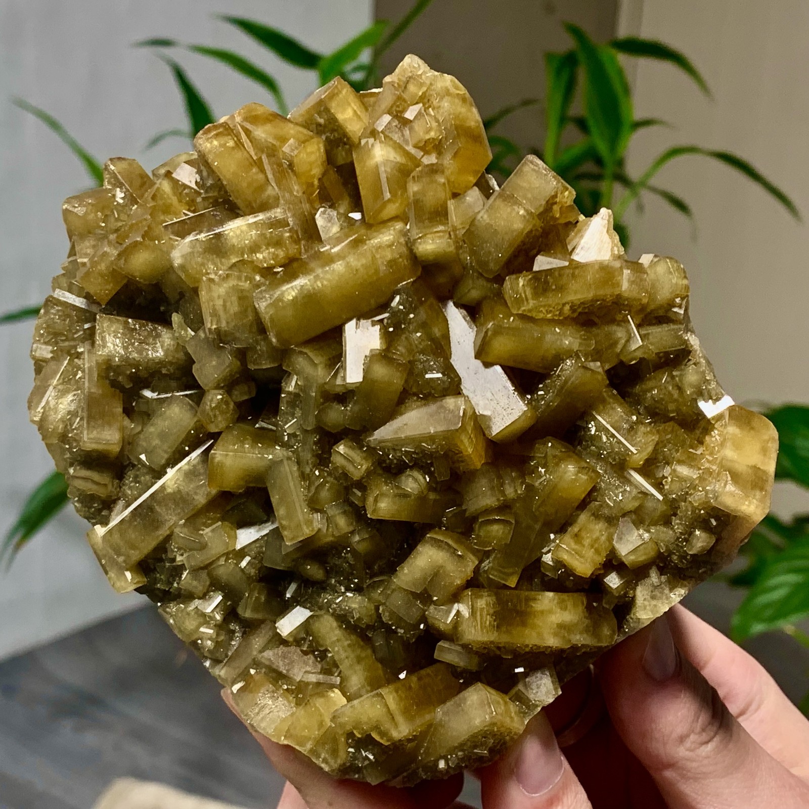 2.82LB Shiny Golden Cuboid Barite Crystal Based on the Purple Spherical Fluorite