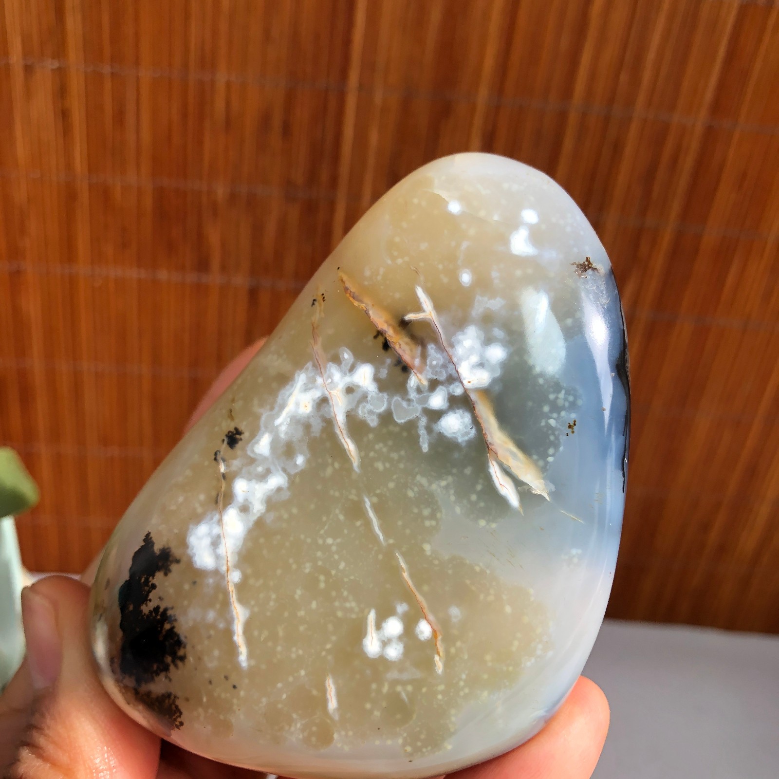 80mm Natural aquatic plants agate pretty Crystal specimens 235g A1485