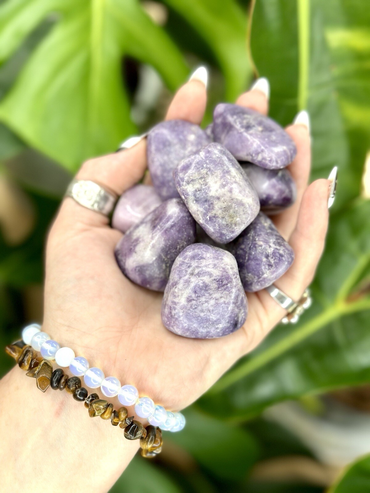 Lepidolite Tumbled Crystal Stones, 1/2 inch to 2 inch, Grade AAA