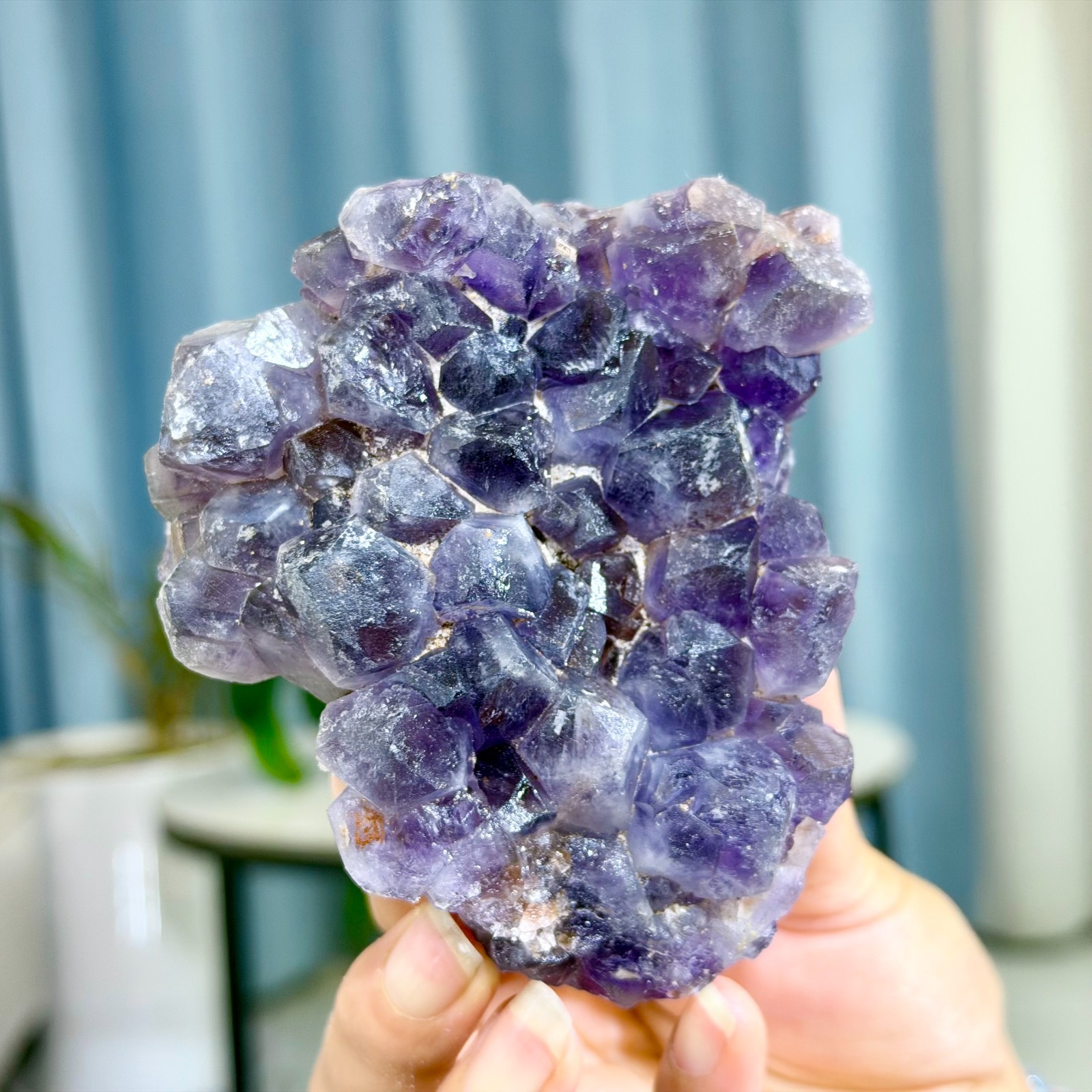 482G Natural Amethyst geode quartz cluster crystal specimen Healing