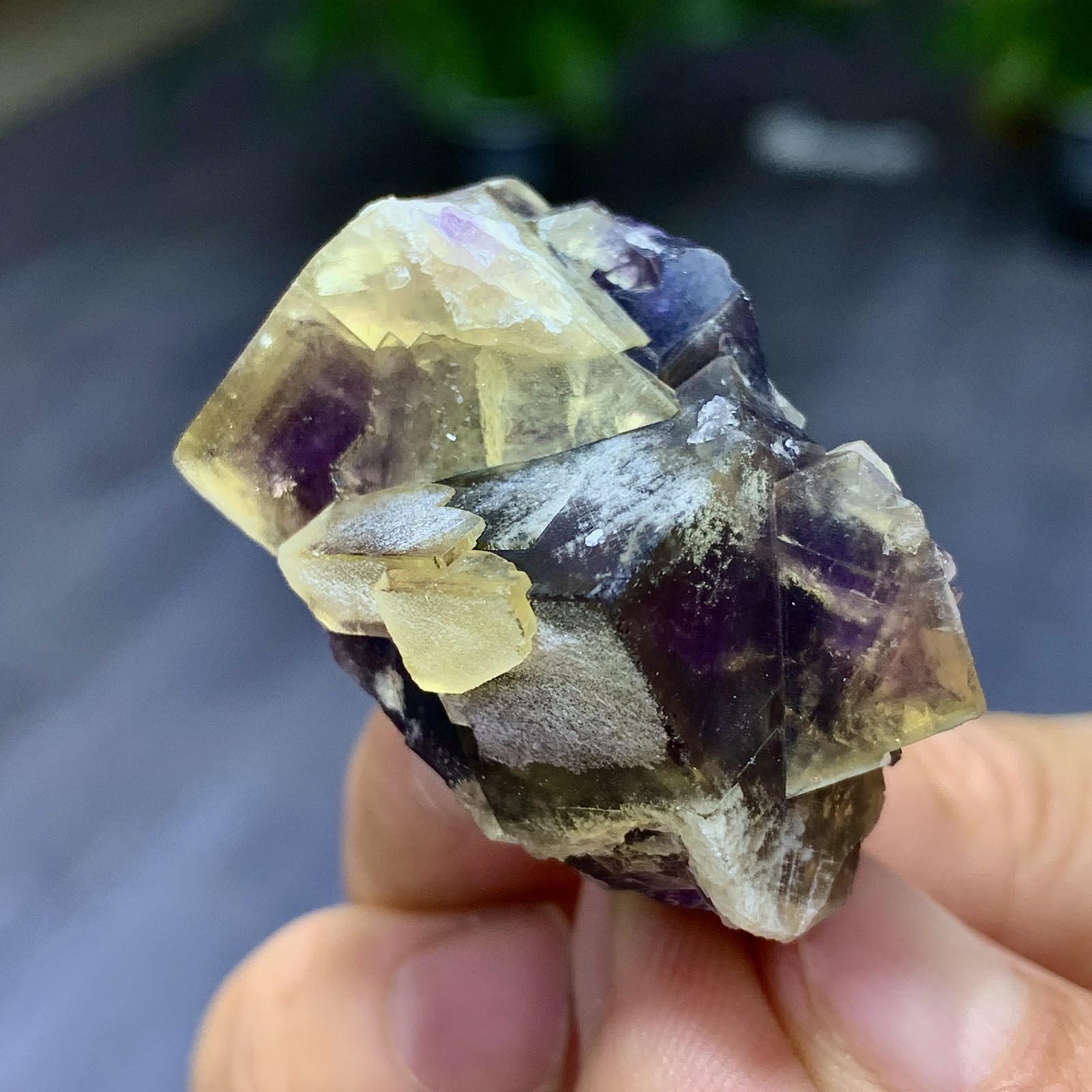 48G Rare transparent purple cubic fluorite mineral crystal sample/China