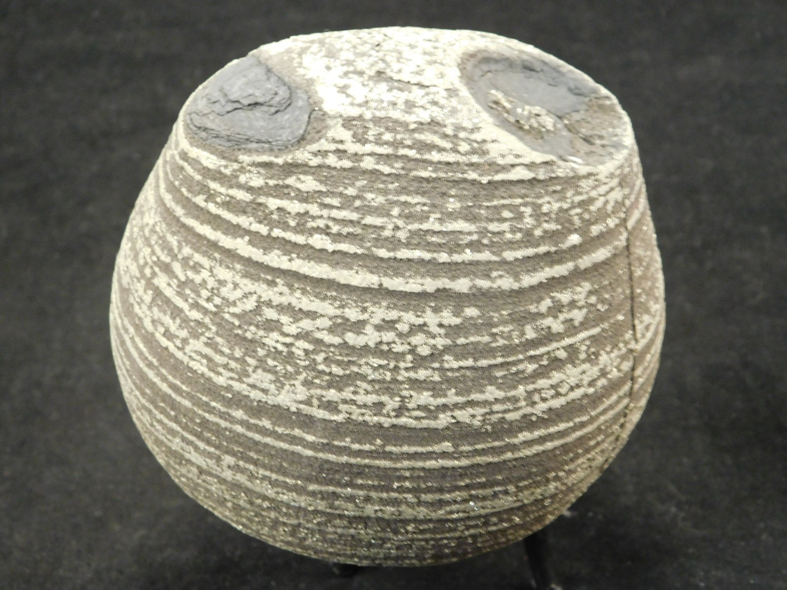BIG! 100% Natural Ringed PYRITE Concretion From China! With Stand 1241gr