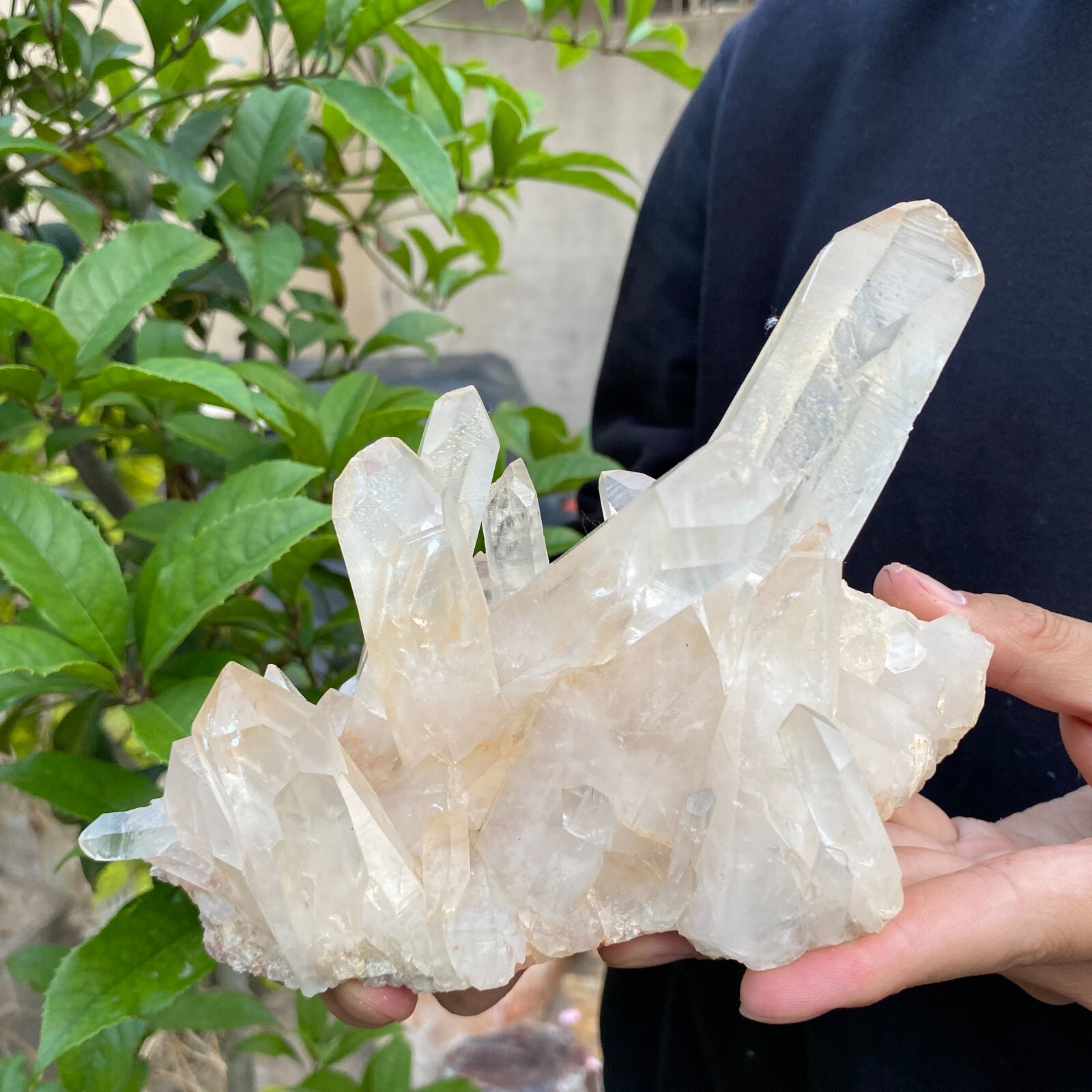 2lb Natural Clear White quart Crystal Cluster Raw Healing Specimen