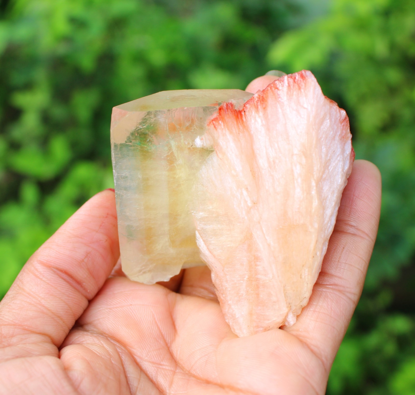 APOPHYLLITE CRYSTAL WITH STILBITE MINERAL SPECIMEN
